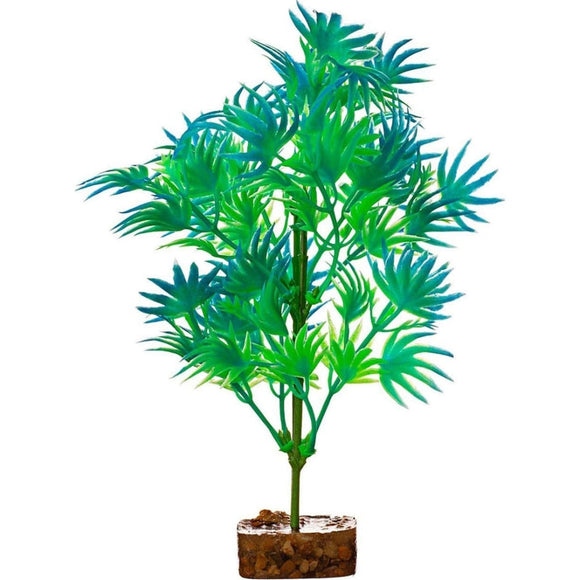 GLOFISH PLANT