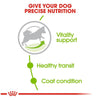 Royal Canin Size Health Nutrition X-Small Mature 8+ Dry Dog Food