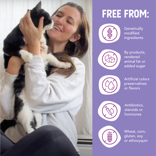 Health Extension Superbites Freeze Dried Raw - Salmon Recipe Cat Treats