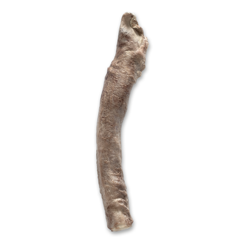 Bones & Co. Freeze-Dried Bully Sticks