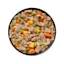Petcurean Go! Solutions Skin + Coat Care Shredded Chicken Wet Dog Food with Grains