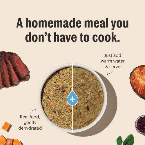 The Honest Kitchen Wholemade Whole Grain Chicken for Dogs
